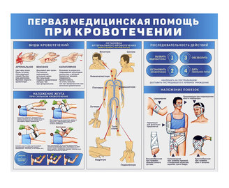 Стенд первая помощь