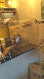 Витрина Yellow bin cafe
